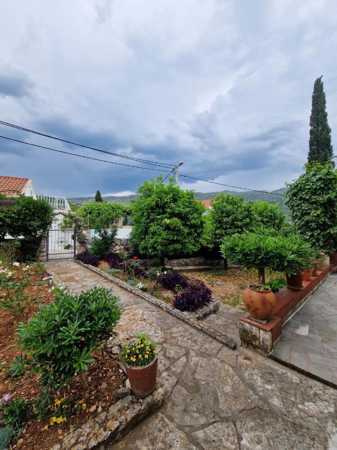 Villa Vizmeg
