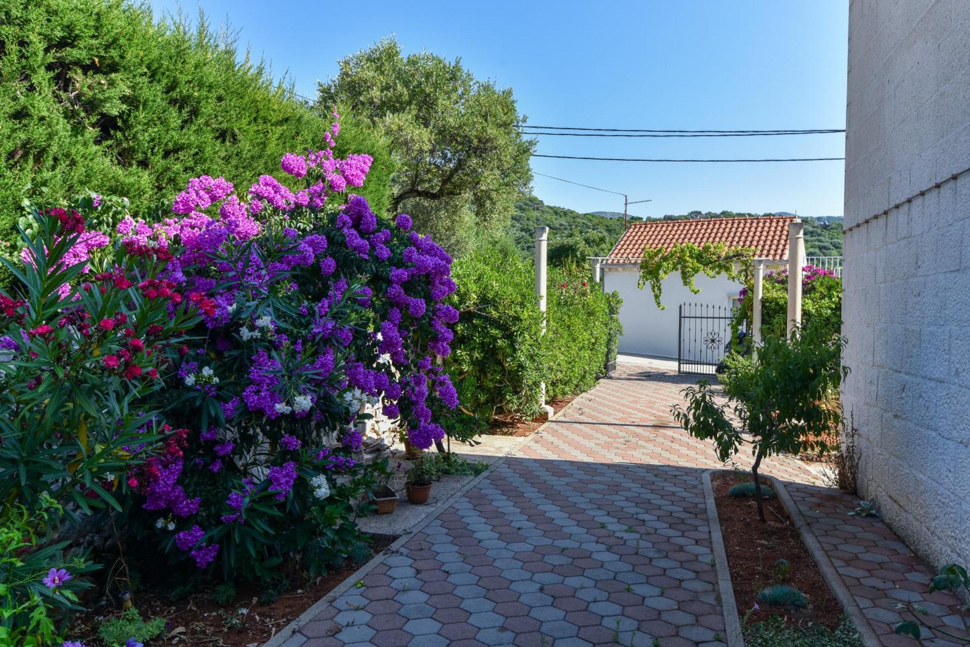 Vizmeg Villa